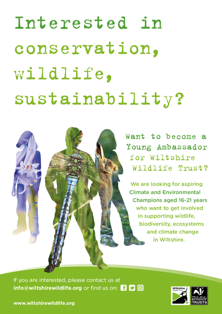 Young Ambassadors poster