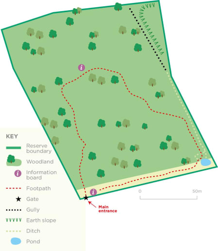 Map of Hagbourne Copse