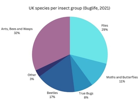 UK species per insect group