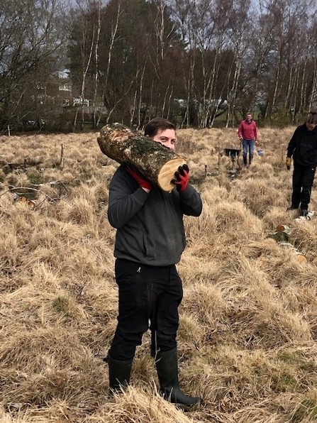 Carrying logs