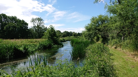 River Wylye