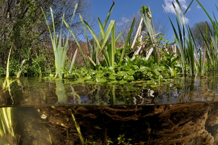 Chalk stream