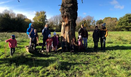 Children around a tree