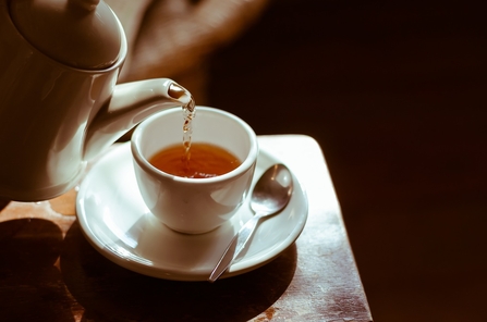 Filling a mug with tea