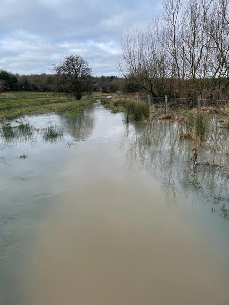 A flooded Bay Meadows nature reserve