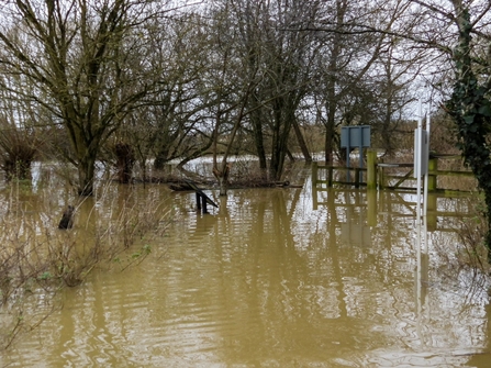 Conigre Mead flooded