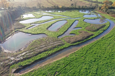 Wetland scrapes at Lower Moor