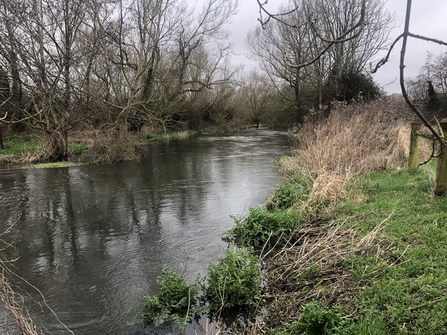 The river at Dixon Meadows