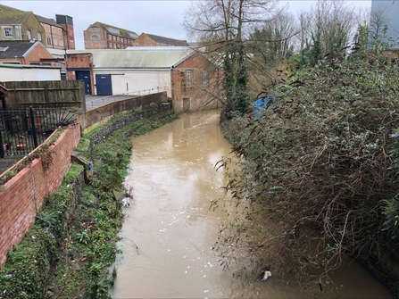 River Biss looking upstream from The Shires Shopping Centre