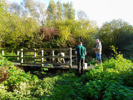 Volunteers repair bridge in reserve