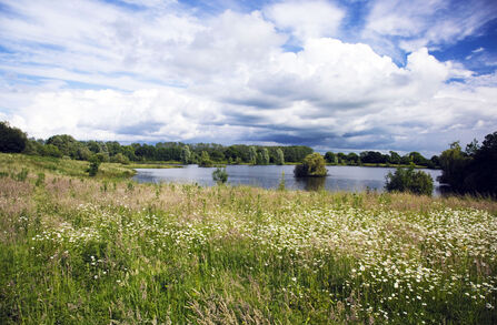 Lower Moor Farm Meadow and Lake