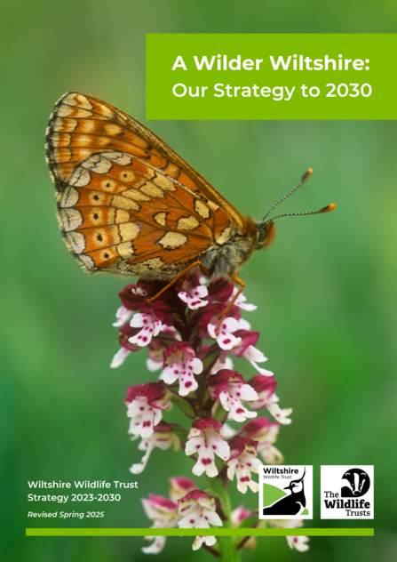 Front Cover of Wilder Wiltshire Strategy, feat. Marsh Fritillary Butterfly