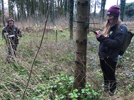 WWT ecologists, Jane Kinney and Chelsie Fuge, installing remote acoustic sensors in woodland