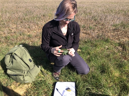 Jane Kinney, Project Ecologist, programming an acoustic recorder