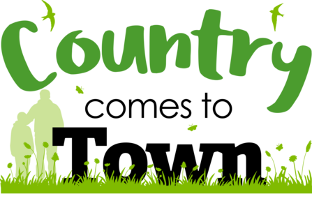 CCTT Logo
