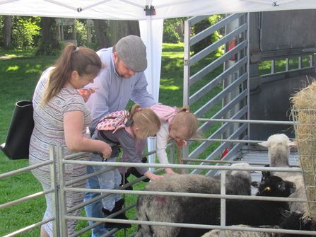 Livestock at CCTT