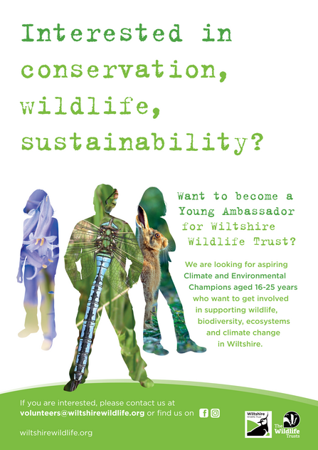 Young Ambassadors Poster; Text reads: Interested in conservation, wildlife, sustainability? Want to become a Young Ambassador for Wiltshire Wildlife Trust? We are looking for aspiring Climate and Environmental Champions aged 16-25 years who want to get involved in supporting wildlife, biodiversity, ecosystems and climate change in Wiltshire. Contact vol@wiltshirewildlife.org