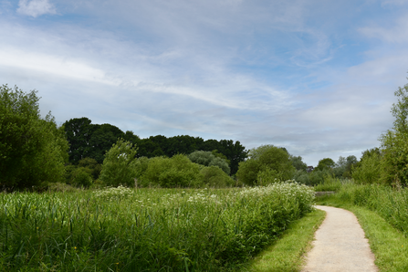 Smallbrook Meadows 