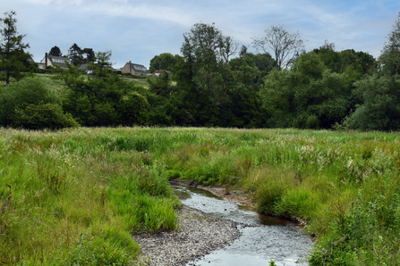 River Were chalk stream through Smallbrook Meadows - small clear stream with pebbled edges running through long grassland, trees in background