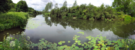 Widbrook Woods bend in the river