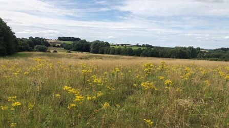 Highworth Great Chalfield 