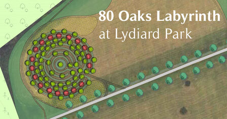 Labyrinth of 80 Oaks