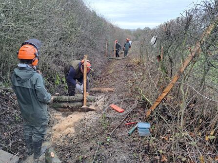 Working on leaky dams