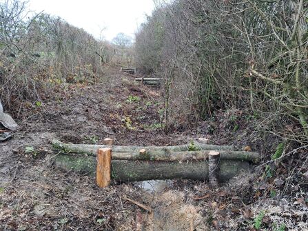 Leaky Dams