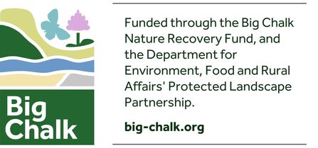 Big Chalk Logo with text: Funded through the Big Chalk Nature Recovery Fund...