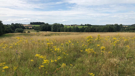 Highworth Field at Great Chalfield