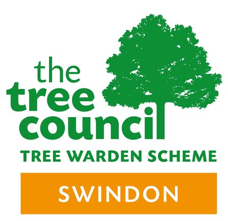 Swindon Tree council