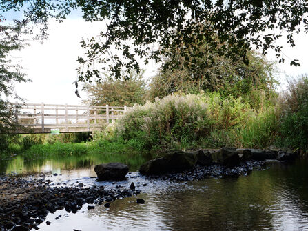 Shallow stream with stones and bridge