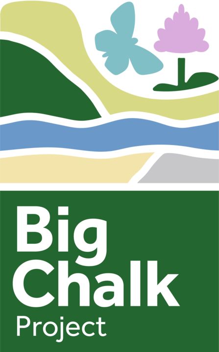 Big Chalk Project Logo