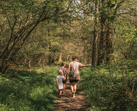 Mum and two children walking through woods