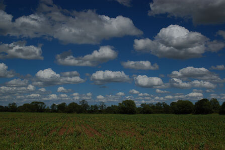 Clouds 