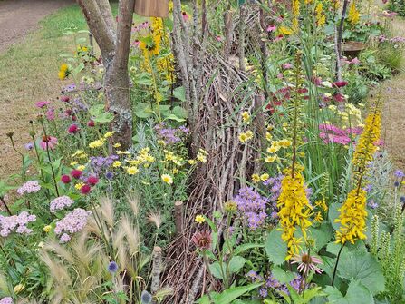 Mix of flowers with stick pile
