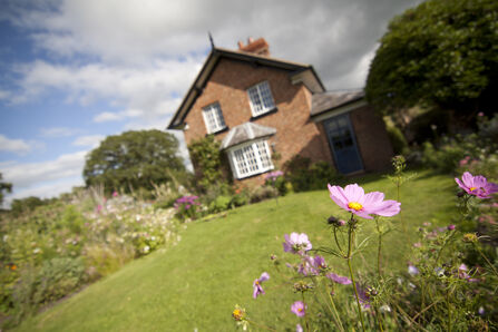 Cottage garden with flowers in borders