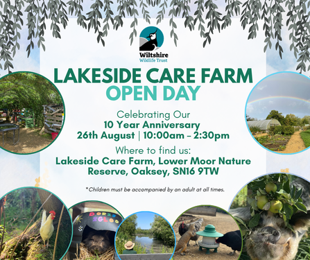 Poster with Lakeside photo collage and event information (all on page)