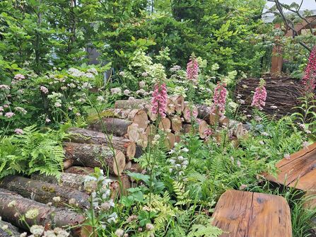 Large log pile in ferns and grass