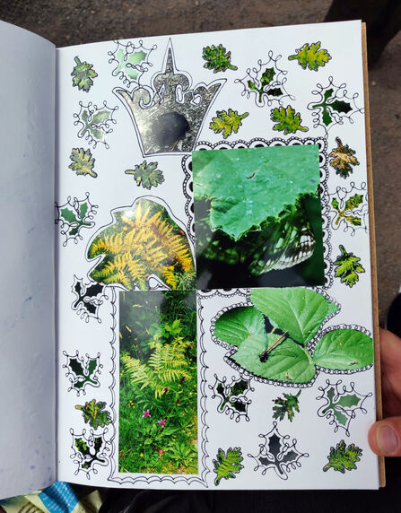 Journal page with tree pictures and illustrations