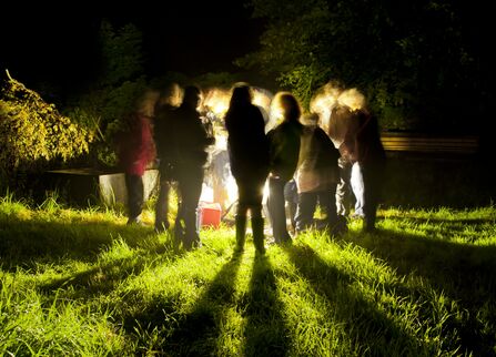 Night Surveys 