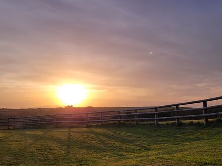 Sunset over field and fence