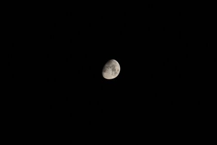 Waxing gibbous moon in black sky