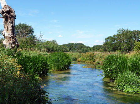 Wylye River and riverbank with blue sky