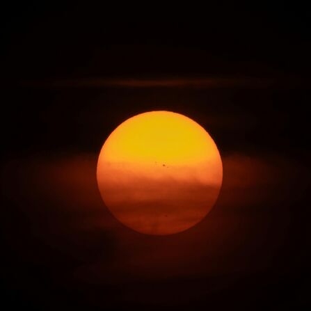 The sun 