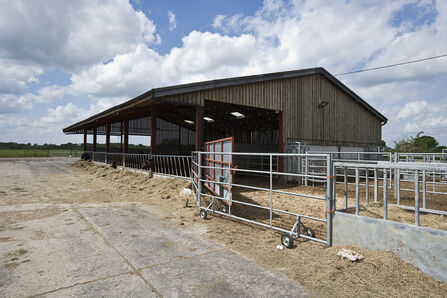 Cattle barn