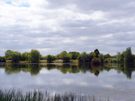 Lower Moor Farm Mallard Lake