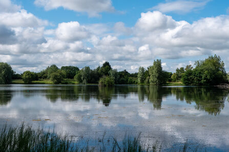 View over lake with trees reflecting and blue sky with clouds