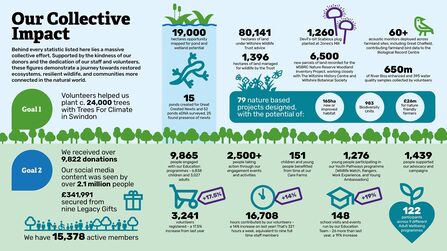 Our collective impact info graphic