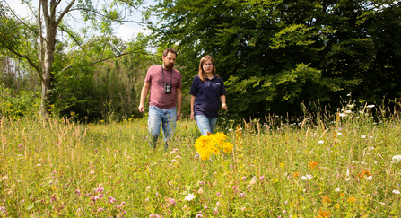 Image of people walking in a meadow